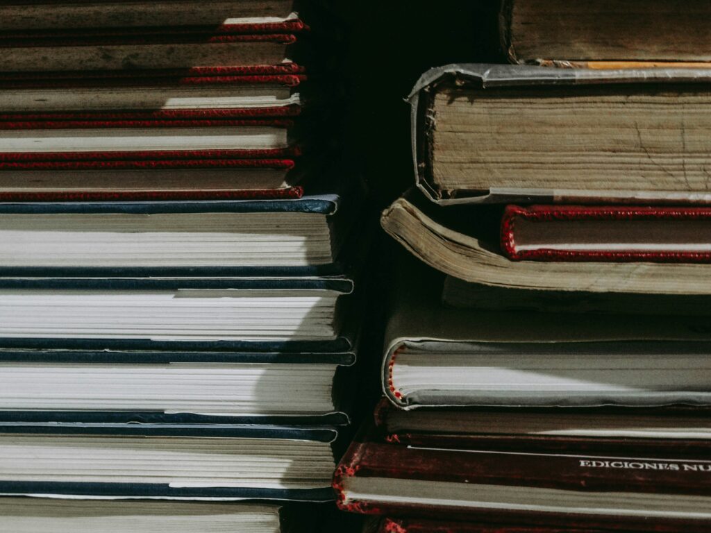 romina-bm-GCoGY0_IBts-unsplash | mindboost.
